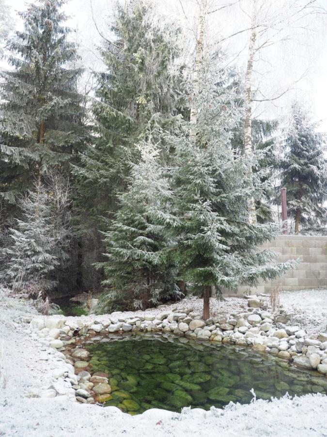 Ubytovanie&Restauracia Bodliak Žiar Esterno foto